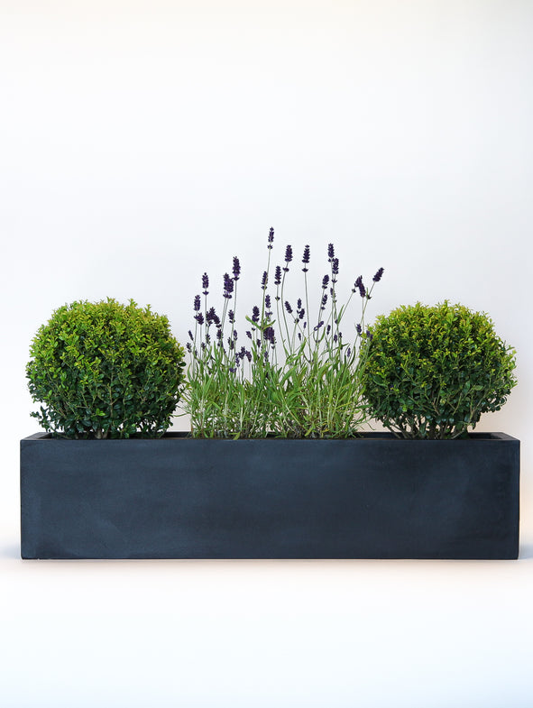 Soto House - Windowsill - Sunny - Large